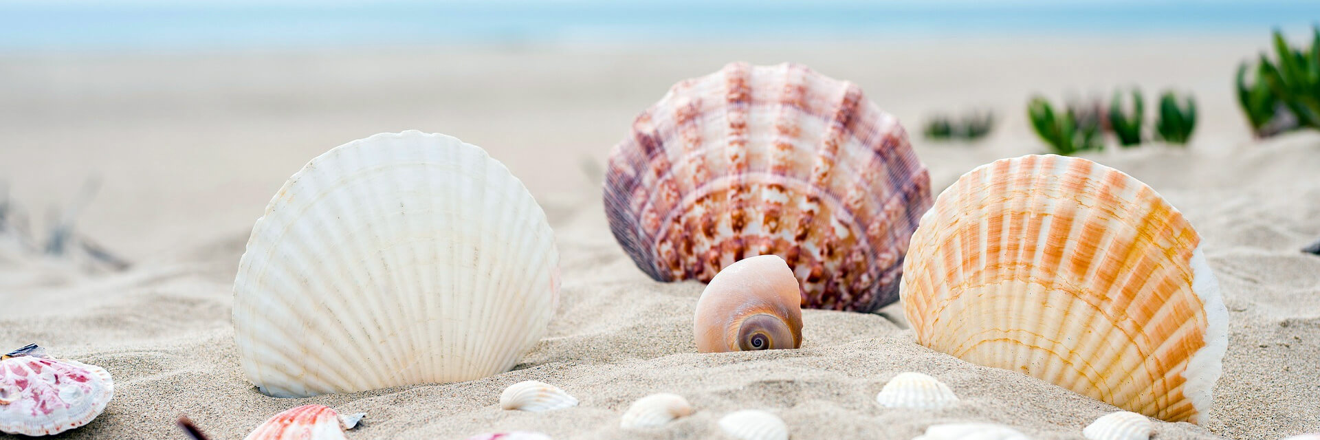 Villeneuve Autrement